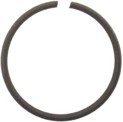 Elektrofahrrad Sprengring Für Impulse Kettenblatt